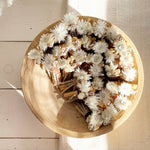 Solstice Moon Palo Santo Bundle